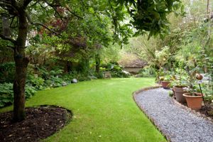 Garden- click for photo gallery